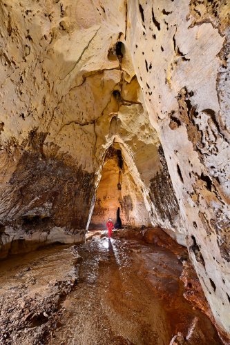 Caverna das Maos (Para, Brésil) - Galerie d'entrée en forme d'ogive dans du grés jaune avec petite rivière(SP-23-1132)